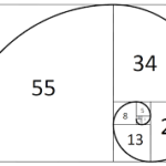 The fibonacci sequence