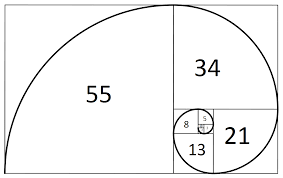 The fibonacci sequence